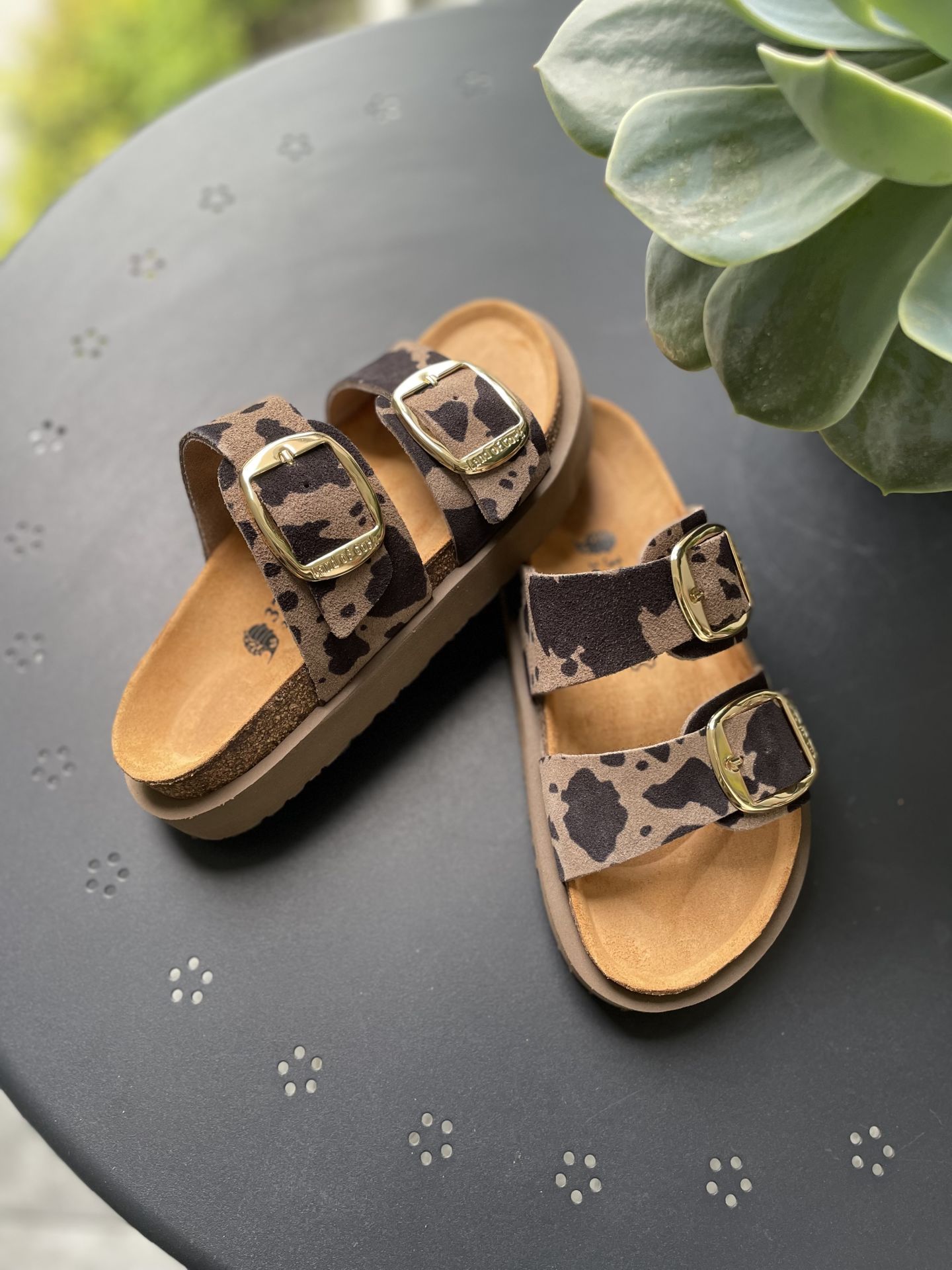 Land of Cork Platform Taban Cow Animal Desenli Ortopedik Terlik – El Yapımı, Mantar Taban, Big Buckle Kadın Günlük Terlik