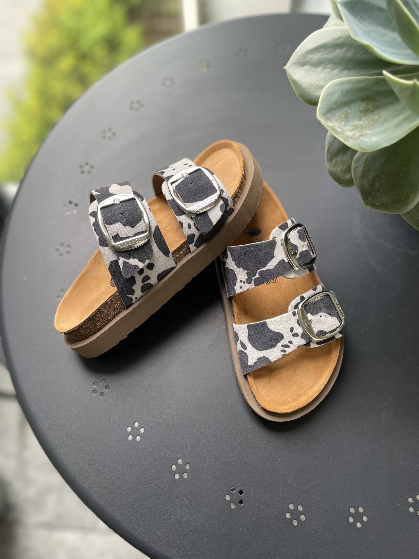 Land of Cork Platform Taban Cow Animal Desenli Ortopedik Terlik – El Yapımı, Mantar Taban, Big Buckle Kadın Günlük Terlik